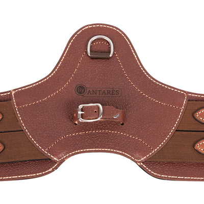 Signature by Antares Short Anatomic Girth (leather only)