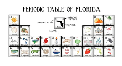 Dishique - Florida Periodic Table Porcelain Platter