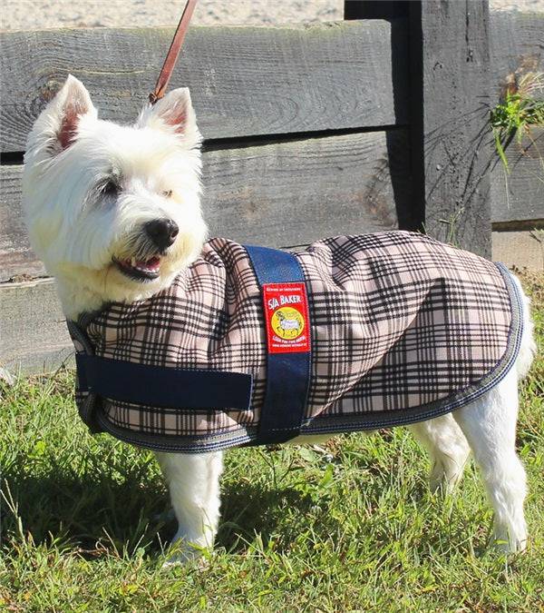 5/A Baker® Dog Blanket - Exceptional Equestrian