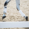 ECOGOLD - Exercise Horse Boots