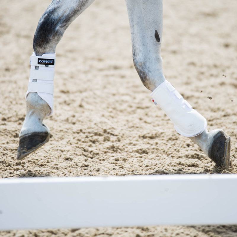 ECOGOLD - Exercise Horse Boots - Exceptional Equestrian