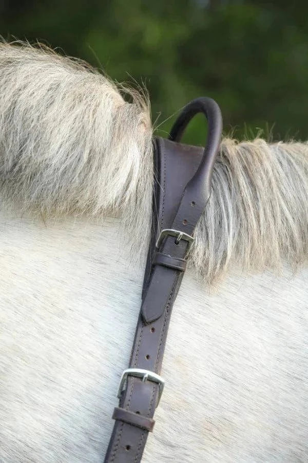 Horse hot sale neck collar