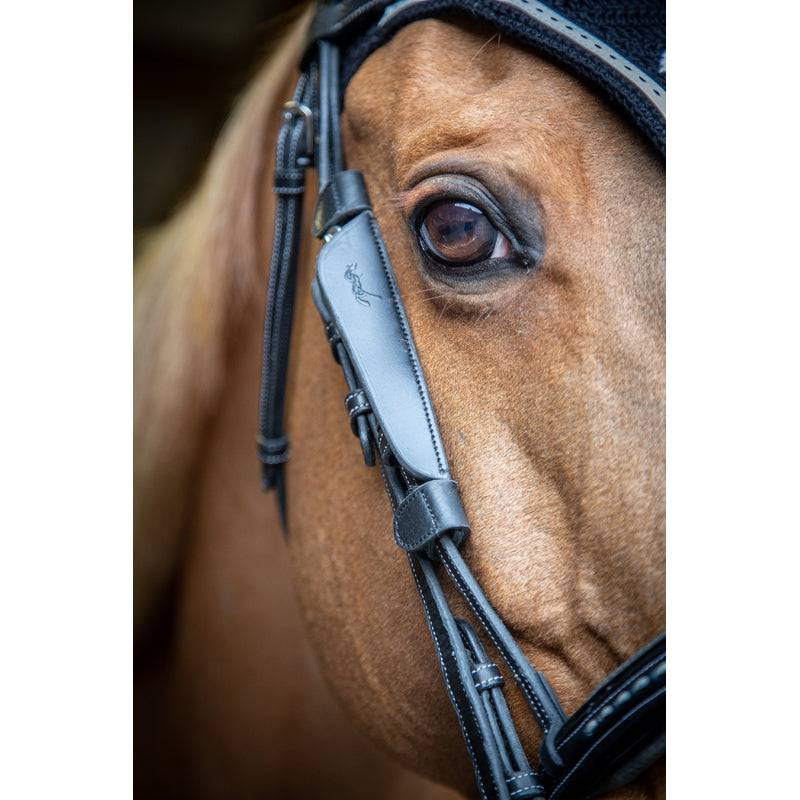 Pénélope - Australian Blinkers - Exceptional Equestrian