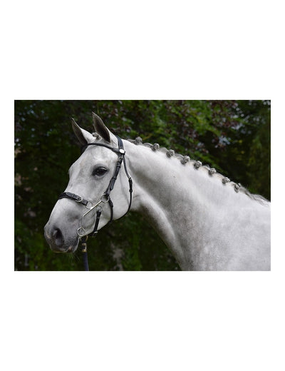 JUMP'IN Hackamore Bridle - Week Collection - Full Size Only