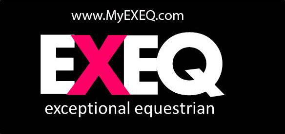 Fall, My Favorite Time of Year