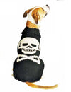 How to Measure Your Dog For The Perfect Coat Fit