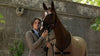 Equiline Equestrian