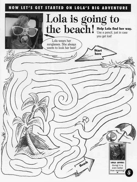 Horse Hollow Press - Horse Activity Kit: The Wonderful Life of Lola Activity Kit