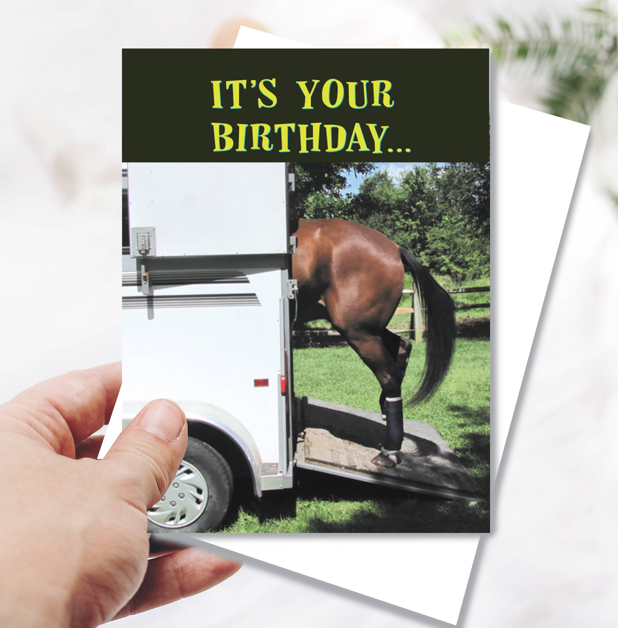 Horse Hollow Press - Horse Greeting Birthday Card / Get Loaded! / Funny