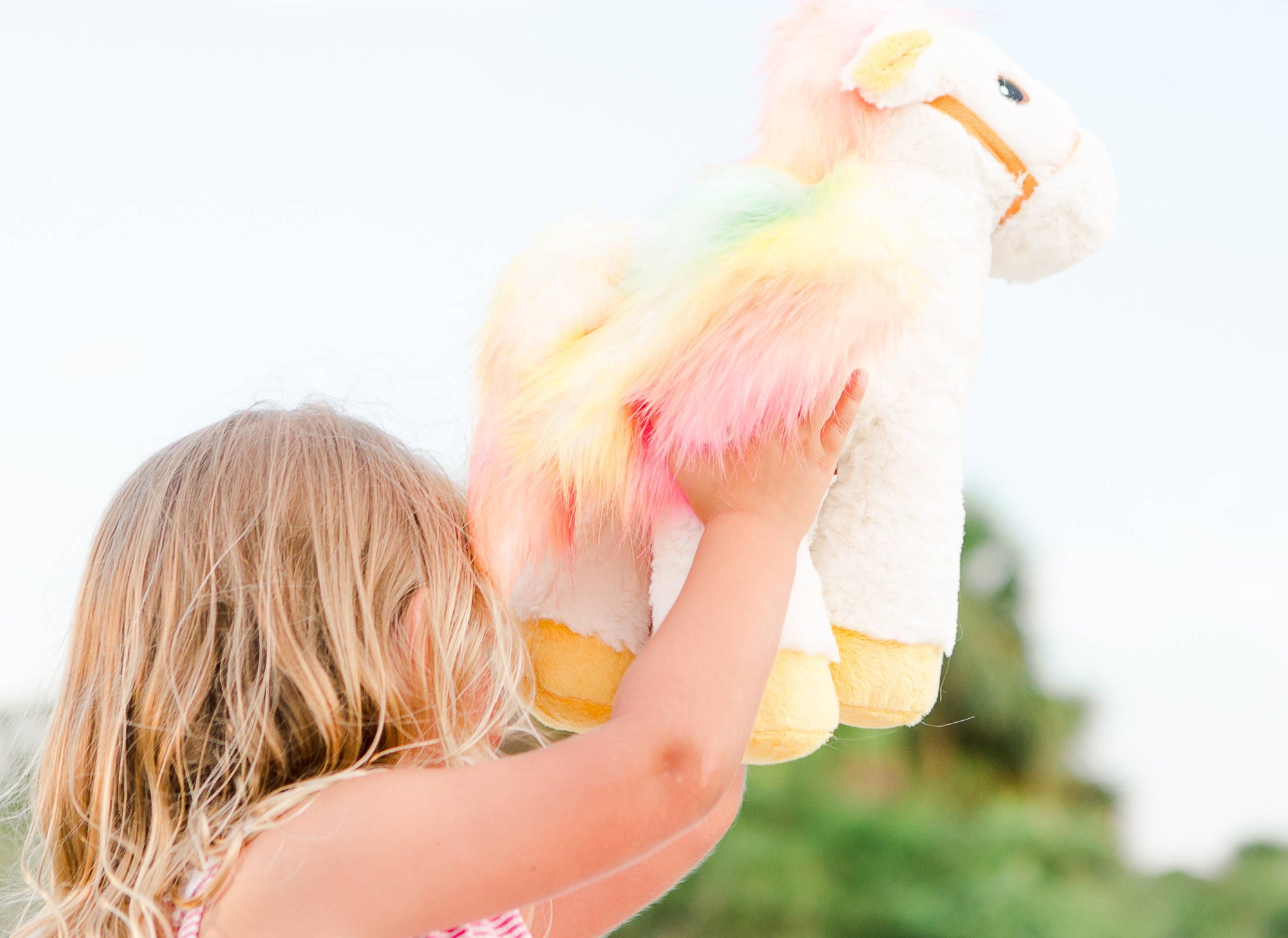 Piccoli Horses - PEGASUS — Athena - Exceptional Equestrian