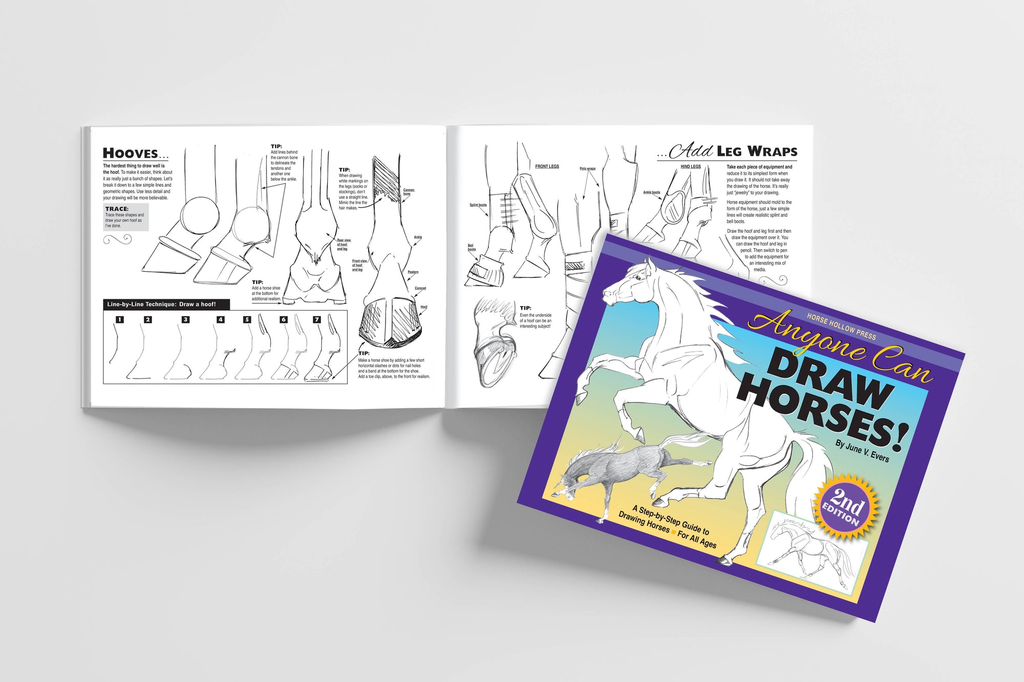 Horse Hollow Press - Art Book Animal Horse / Anyone Can Draw Horses / All ages