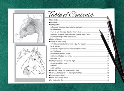 Horse Hollow Press  - Art Kit Horse Equestrian / Anyone Can Draw Horses Art Kit
