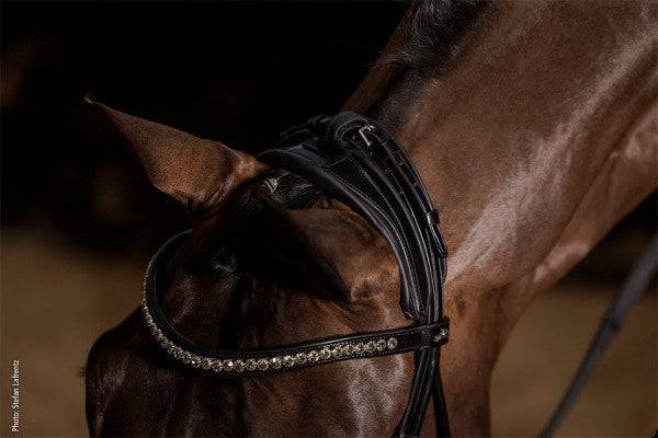 Schockemöhle Sport - Westminster Bridle - Exceptional Equestrian
