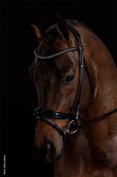 Schockemöhle Sport - Westminster Bridle - Exceptional Equestrian
