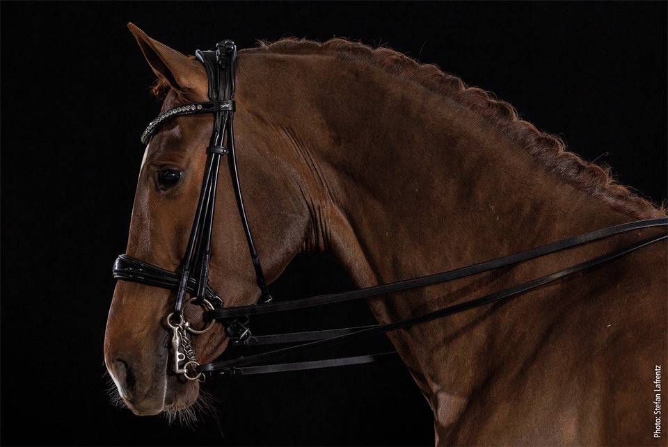 Schockemöhle Sport - Kensington Bridle - Exceptional Equestrian