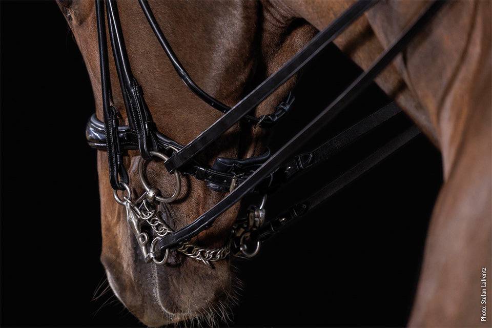 Schockemöhle Sport - Kensington Bridle - Exceptional Equestrian