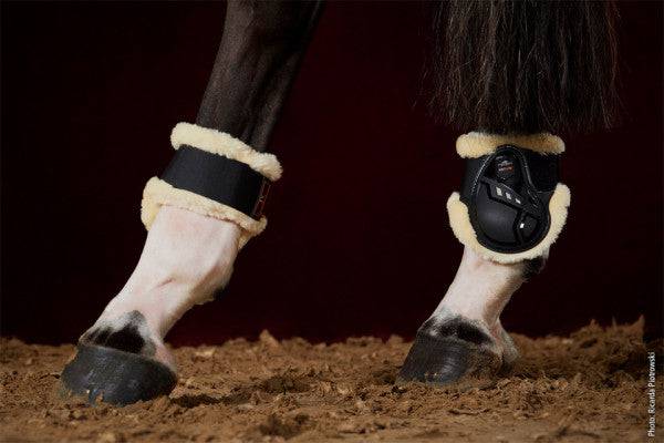 Schockemöhle - Air Flow Champion Fetlock Boots w/ Fur - Exceptional Equestrian