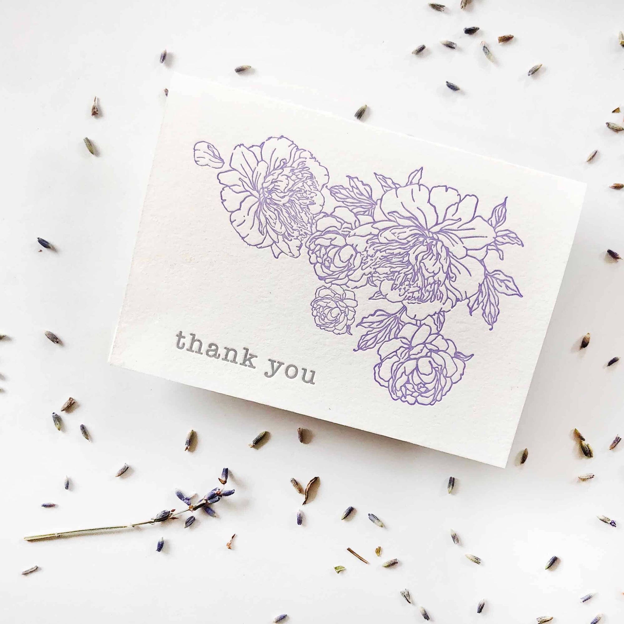 Steel Petal Press - Lavender Peony Thanks - Letterpress Thank You Greeting Card
