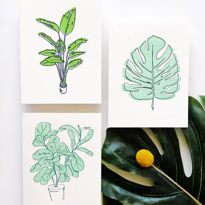 Steel Petal Press - Fiddle Leaf Fig - Letterpress Thank You Greeting Card
