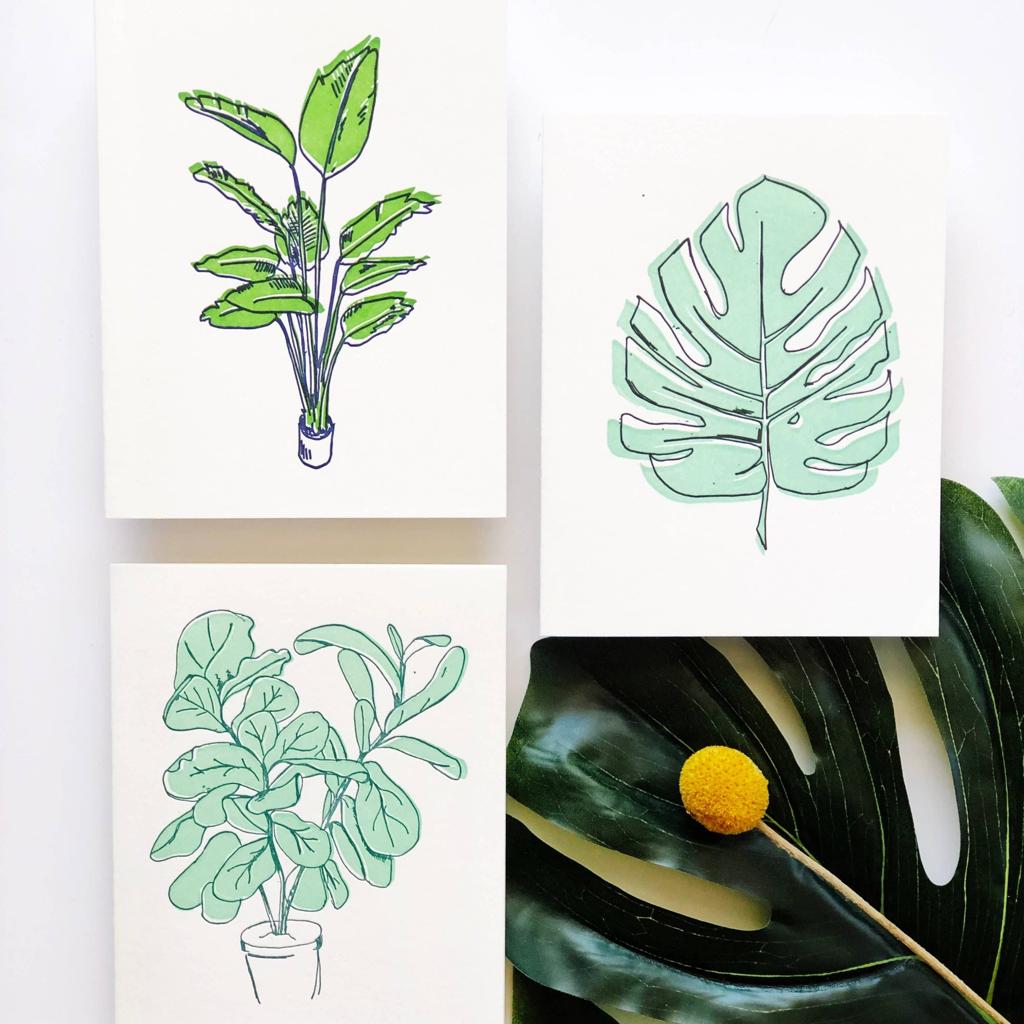 Steel Petal Press - Monstera - Letterpress Thank You Greeting Card