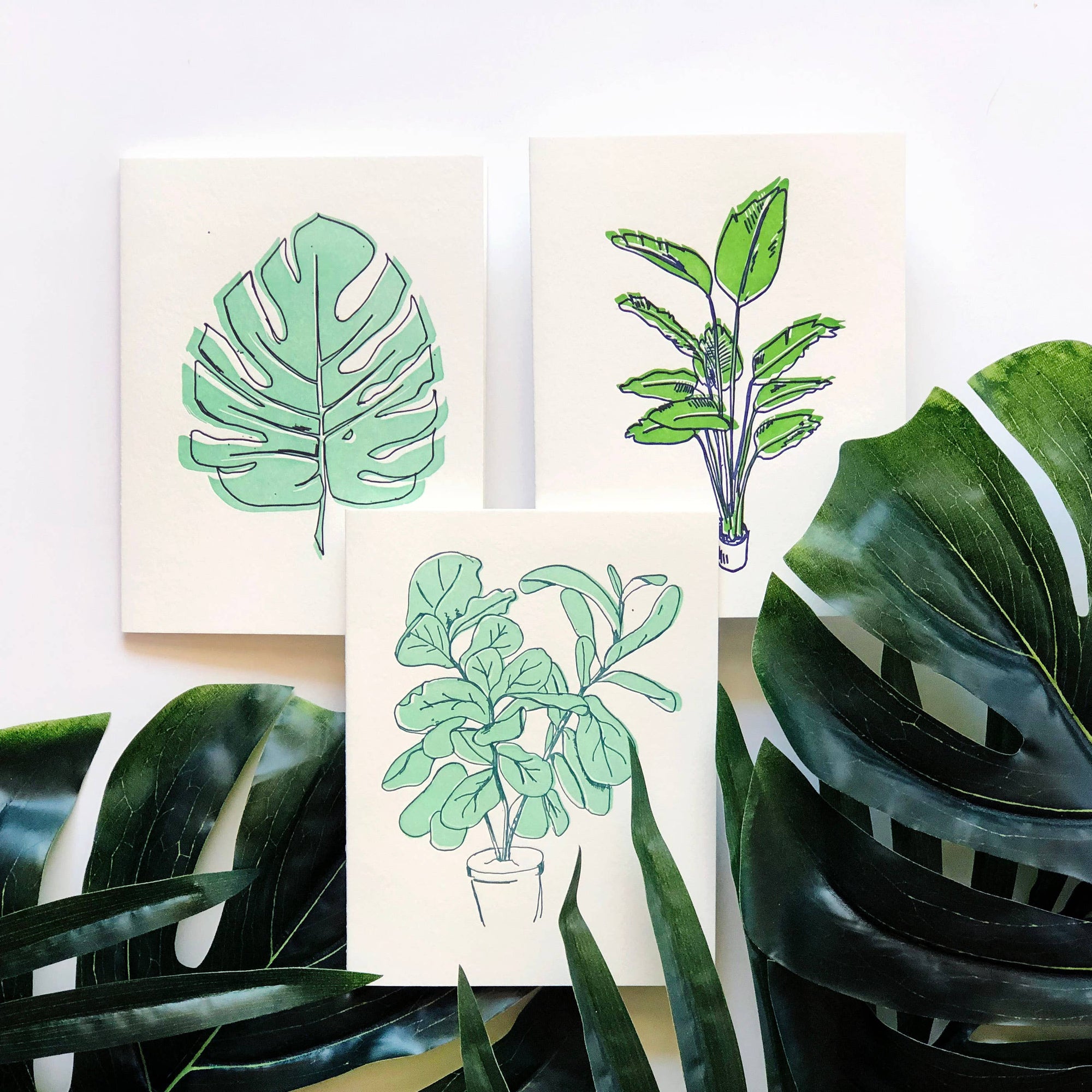 Steel Petal Press - Fiddle Leaf Fig - Letterpress Thank You Greeting Card