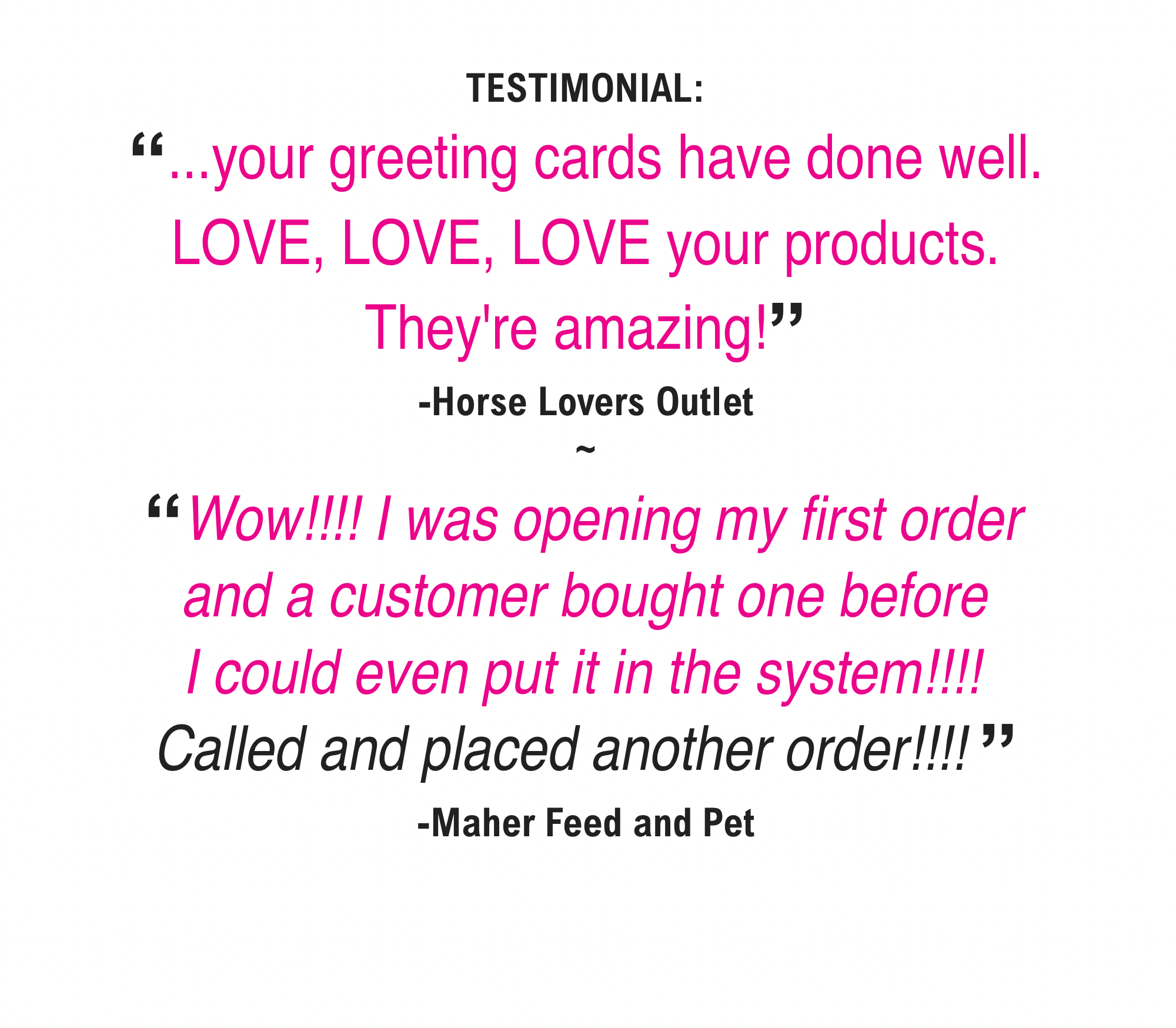 Horse Hollow Press - Horse Greeting Birthday Card / Get Loaded! / Funny