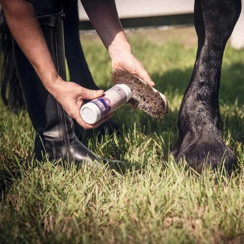Equiderma Daily Defense Dry Shampoo - Exceptional Equestrian