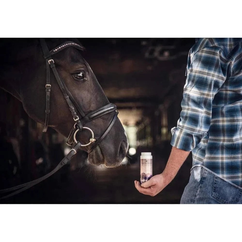 Equiderma Daily Defense Dry Shampoo - Exceptional Equestrian