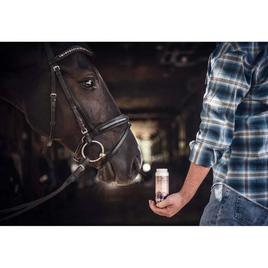 Equiderma Daily Defense Dry Shampoo - Exceptional Equestrian 