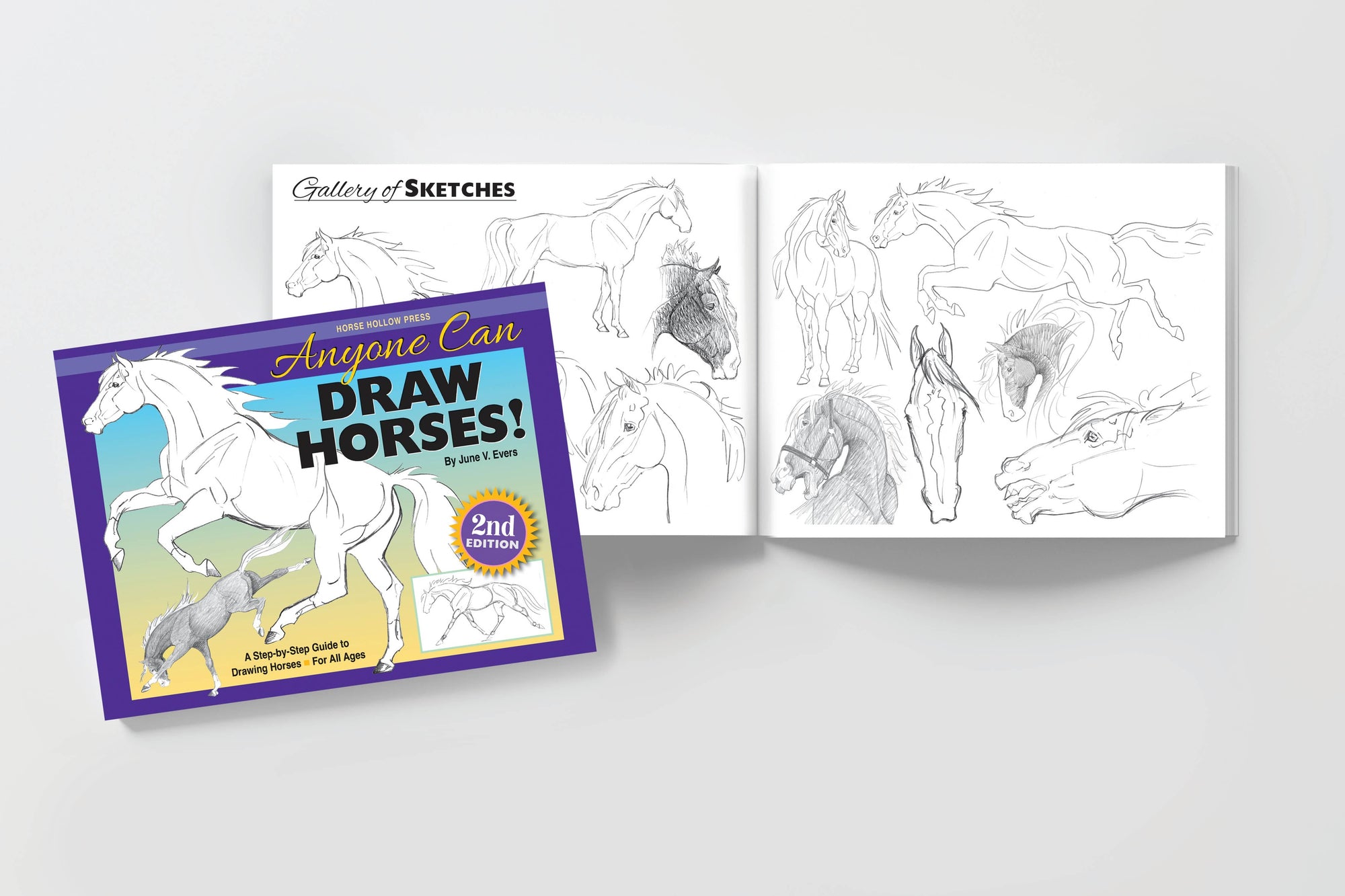 Horse Hollow Press - Art Book Animal Horse / Anyone Can Draw Horses / All ages