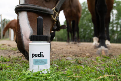 The Infused Equestrian - Pedi. A Hoof Conditioner (half pint/pint)