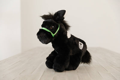 Piccoli Horses - DONKEY - BLACK - Topher - Exceptional Equestrian