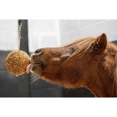 Likit Granola Stall Ball - Exceptional Equestrian