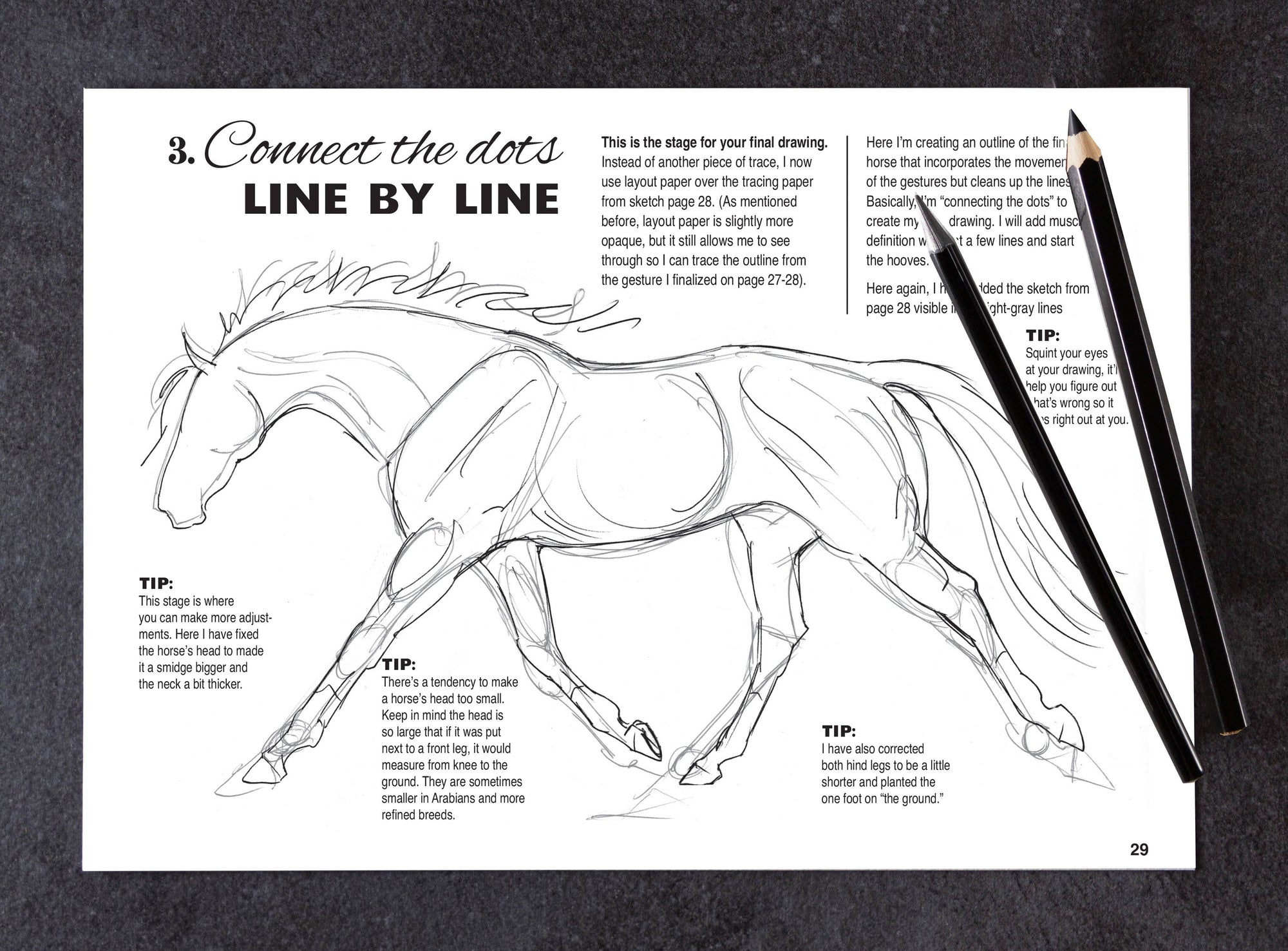 Horse Hollow Press - Art Book Animal Horse / Anyone Can Draw Horses / All ages