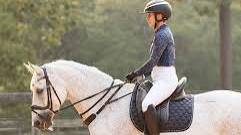 Correct Connect™ - 3-in-1 Training Breastplate - Exceptional Equestrian