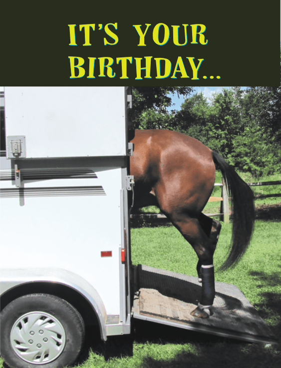 Horse Hollow Press - Horse Greeting Birthday Card / Get Loaded! / Funny
