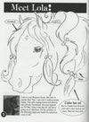 Horse Hollow Press - Horse Book: The Wonderful Life of Lola Horse Activity Book - Exceptional Equestrian