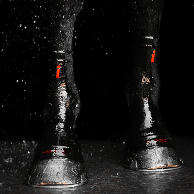 Incrediwear Equine - Circulation Hoof Socks - Original Grey