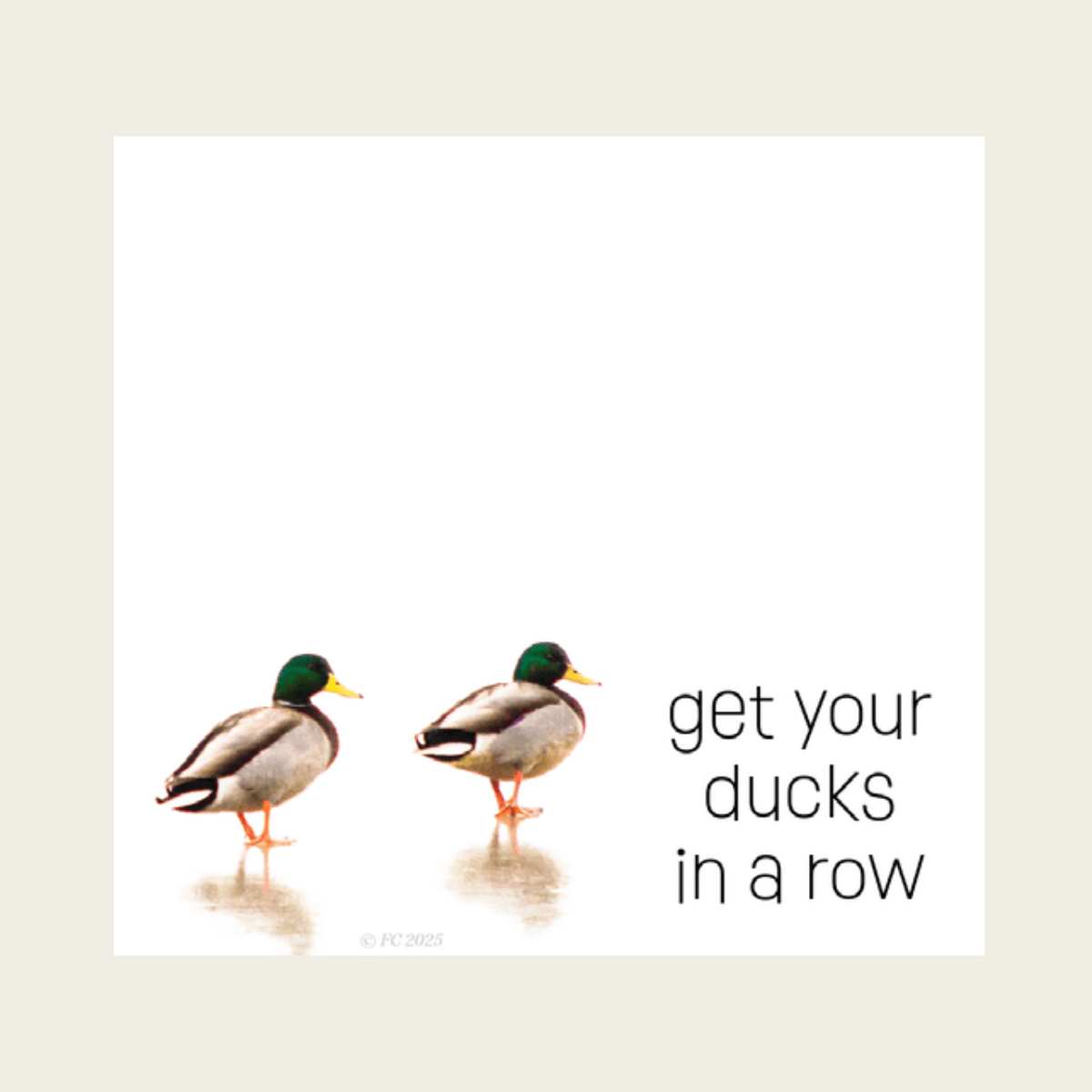 Forever Caroline - Sticky Notes w/ Mallard Ducks & Ducks in a Row | 50 Sheets