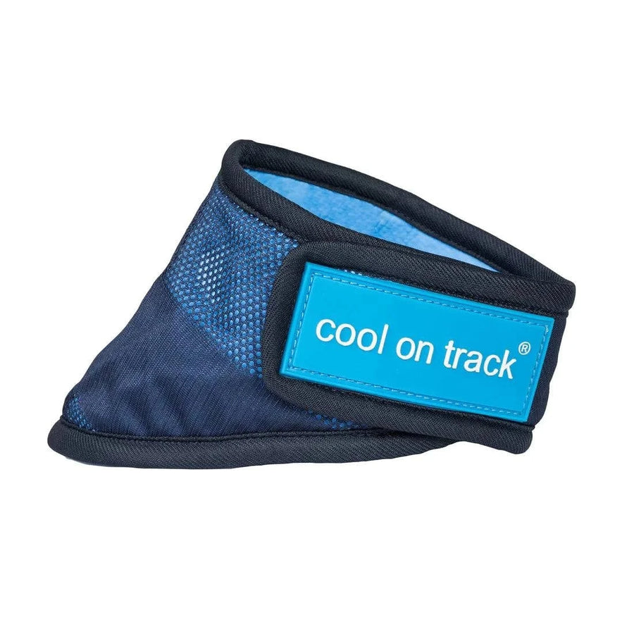 Back on Track - Cool on Track® Cooling Dog Bandana - Exceptional Equestrian 