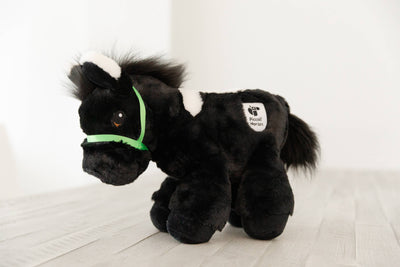 Piccoli Horses - DONKEY - BLACK - Topher - Exceptional Equestrian