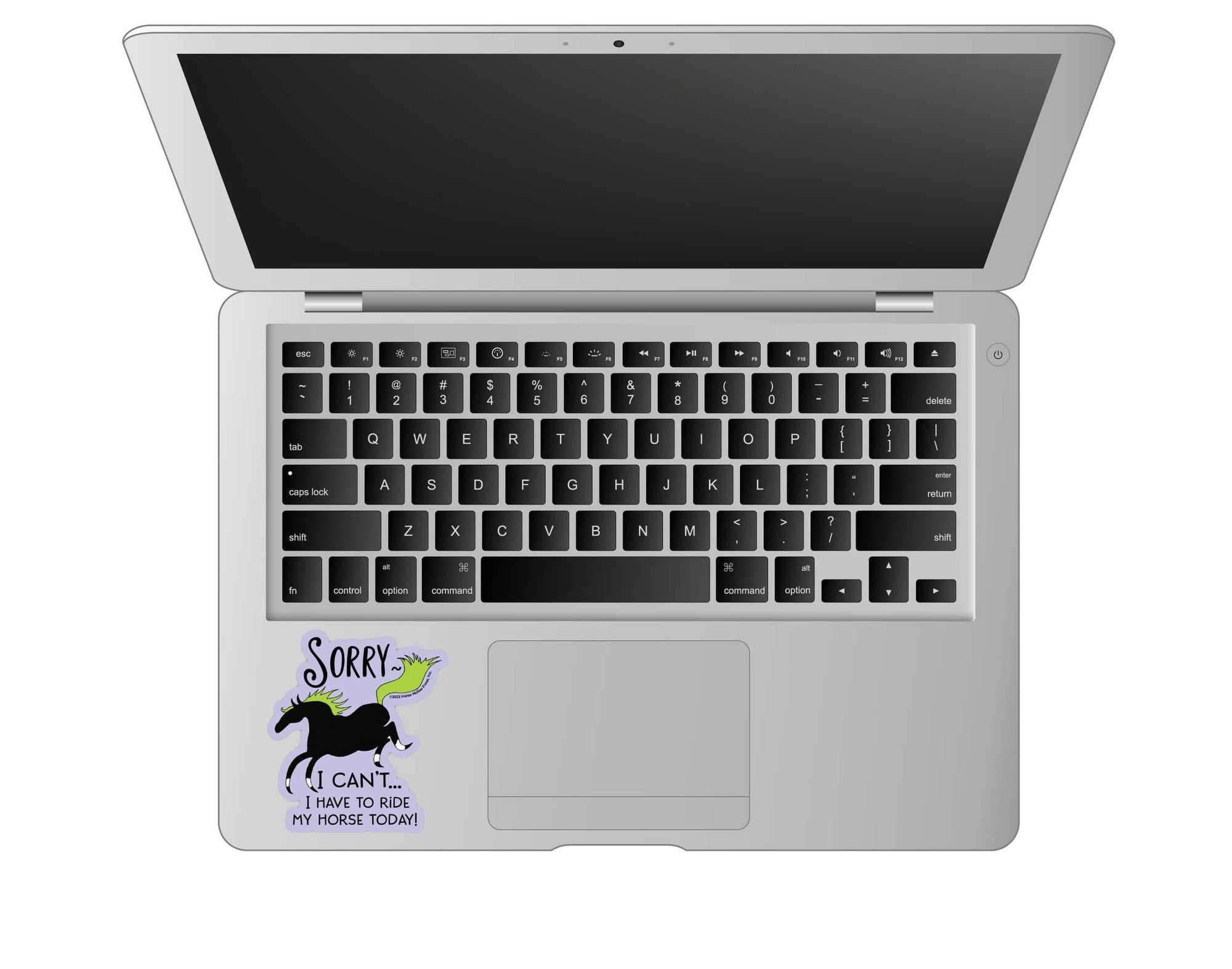 Horse Hollow Press - 3" Tumbler Horse Sticker / Sorry I can't Riding / WATERPROOF