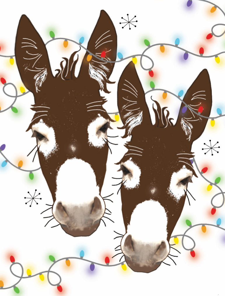 Horse Hollow Press - Donkey Christmas Card / Wrapped in Lights / Holiday Card