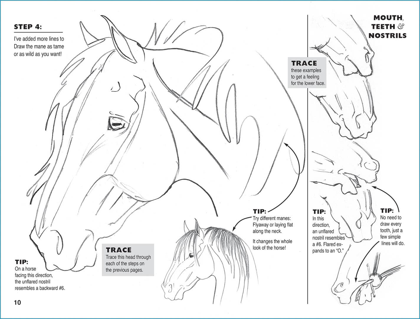 Horse Hollow Press - Art Book Animal Horse / Anyone Can Draw Horses / All ages