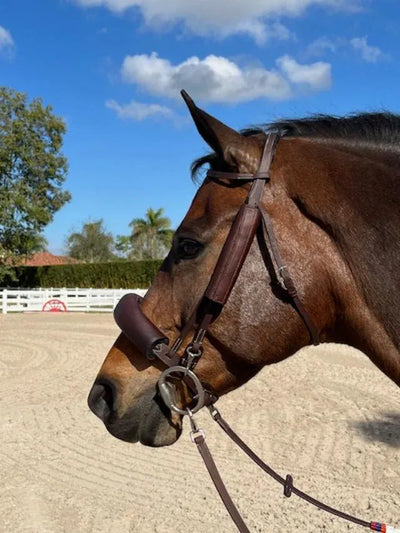 Dzia Sport - Happy-Horse Eyes Forward Removable Leather Blinkers