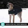Shedrow K9 - Shedrow K9 Vail Dog Coat - Black: Medium