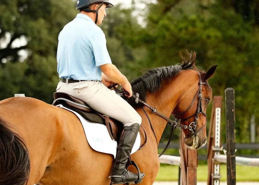Aaron Vale Rein with Single Padded Hand Grip-Training Reins For Better Connection - Exceptional Equestrian