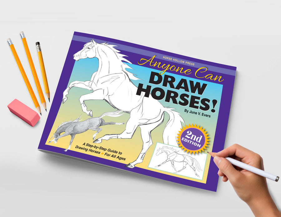 Horse Hollow Press - Art Book Animal Horse / Anyone Can Draw Horses / All ages