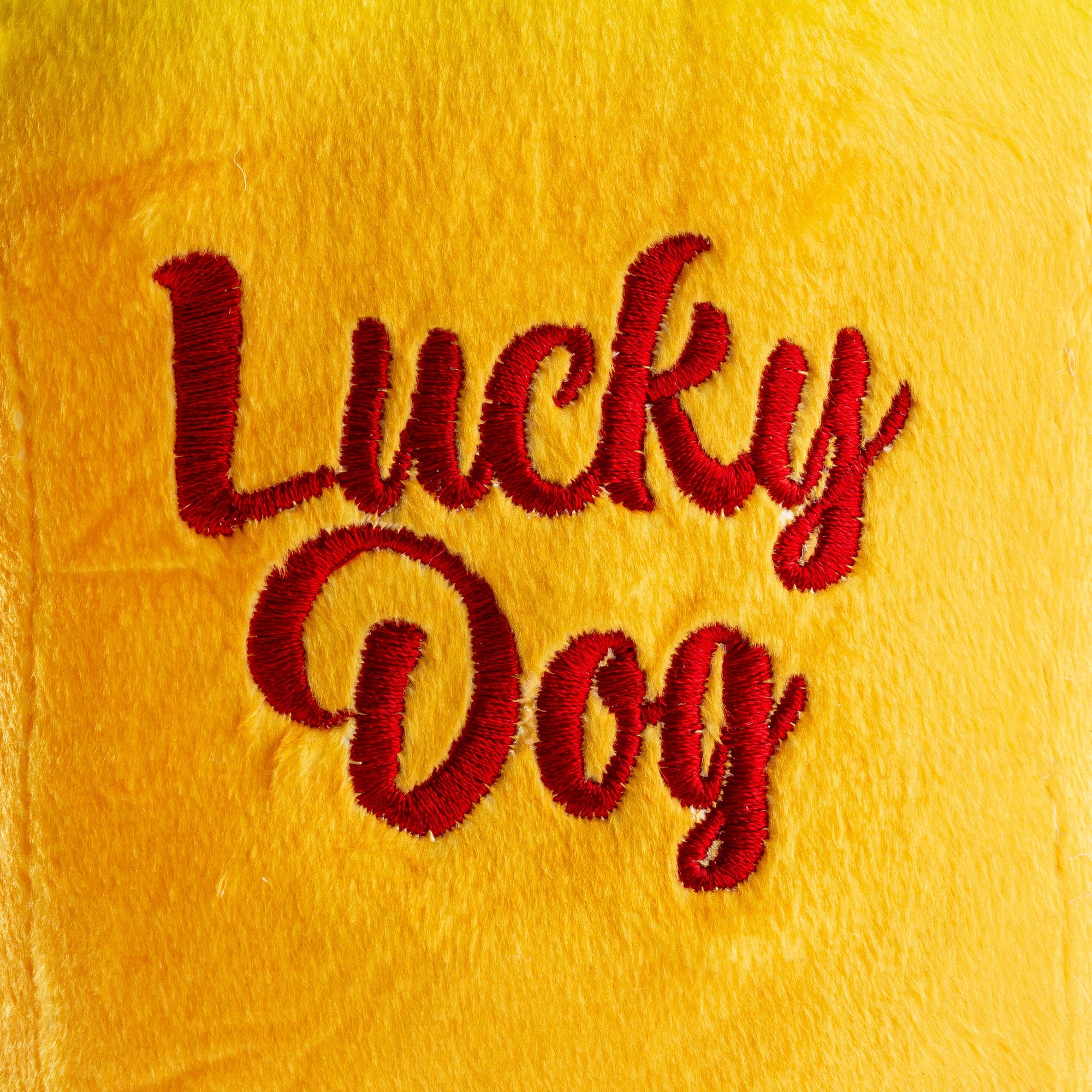 Haute Diggity Dog - Hairadoggo Tequila