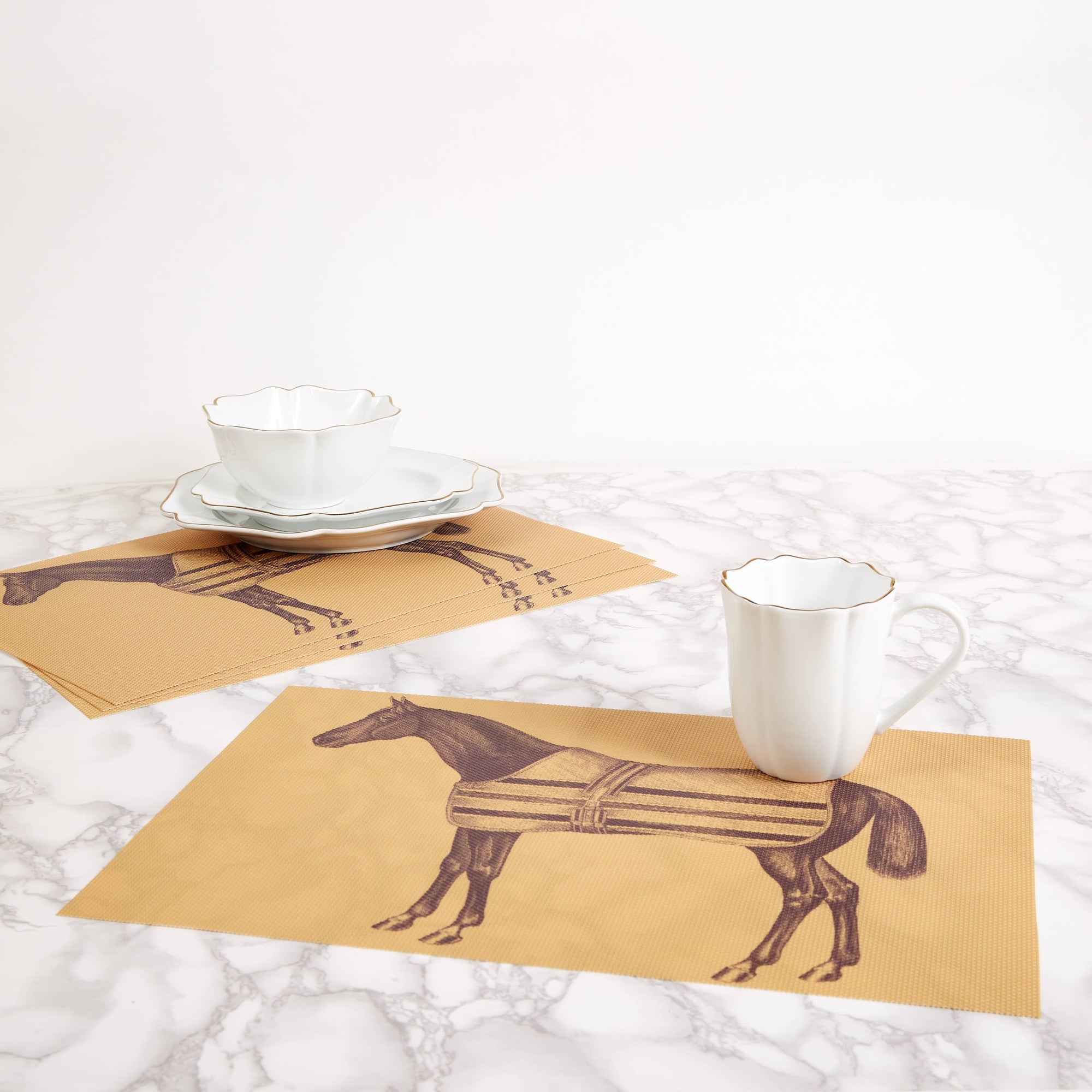 THOMASPAUL - Equestrian Vintage Woven Vinyl Placemats – Set of 4
